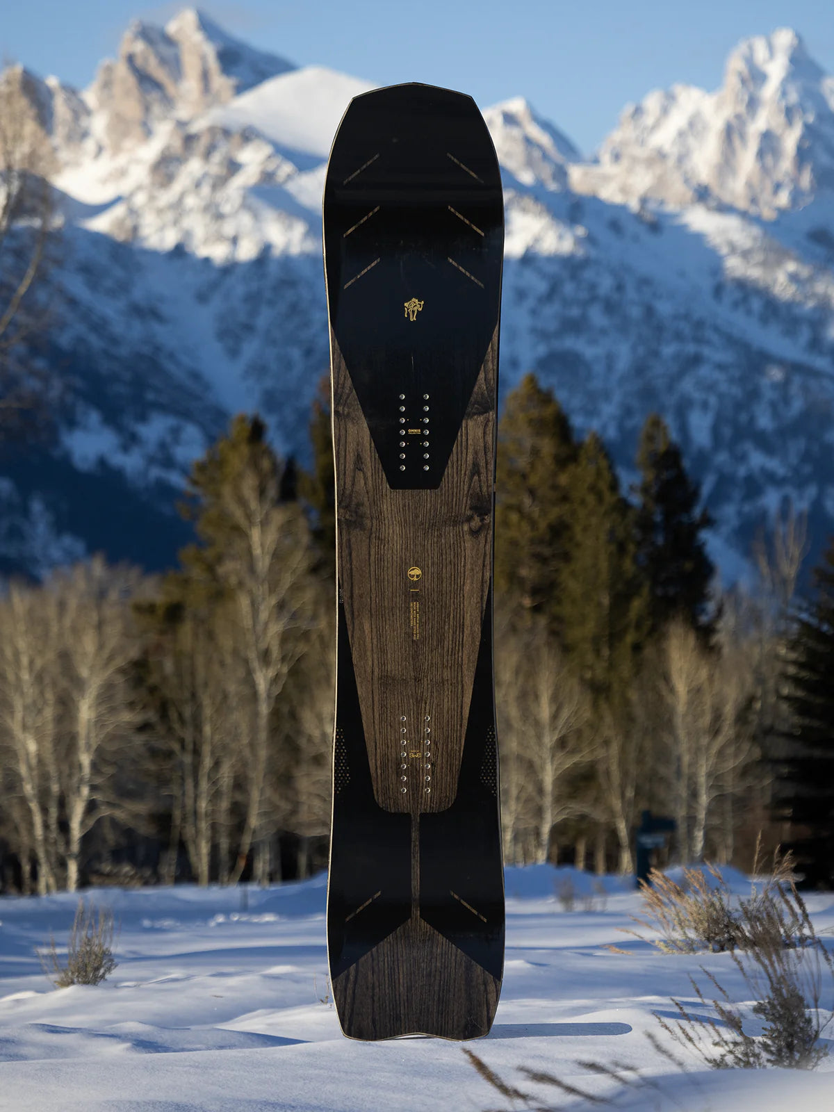 ARBOR BRYAN IGUCHI PRO W26