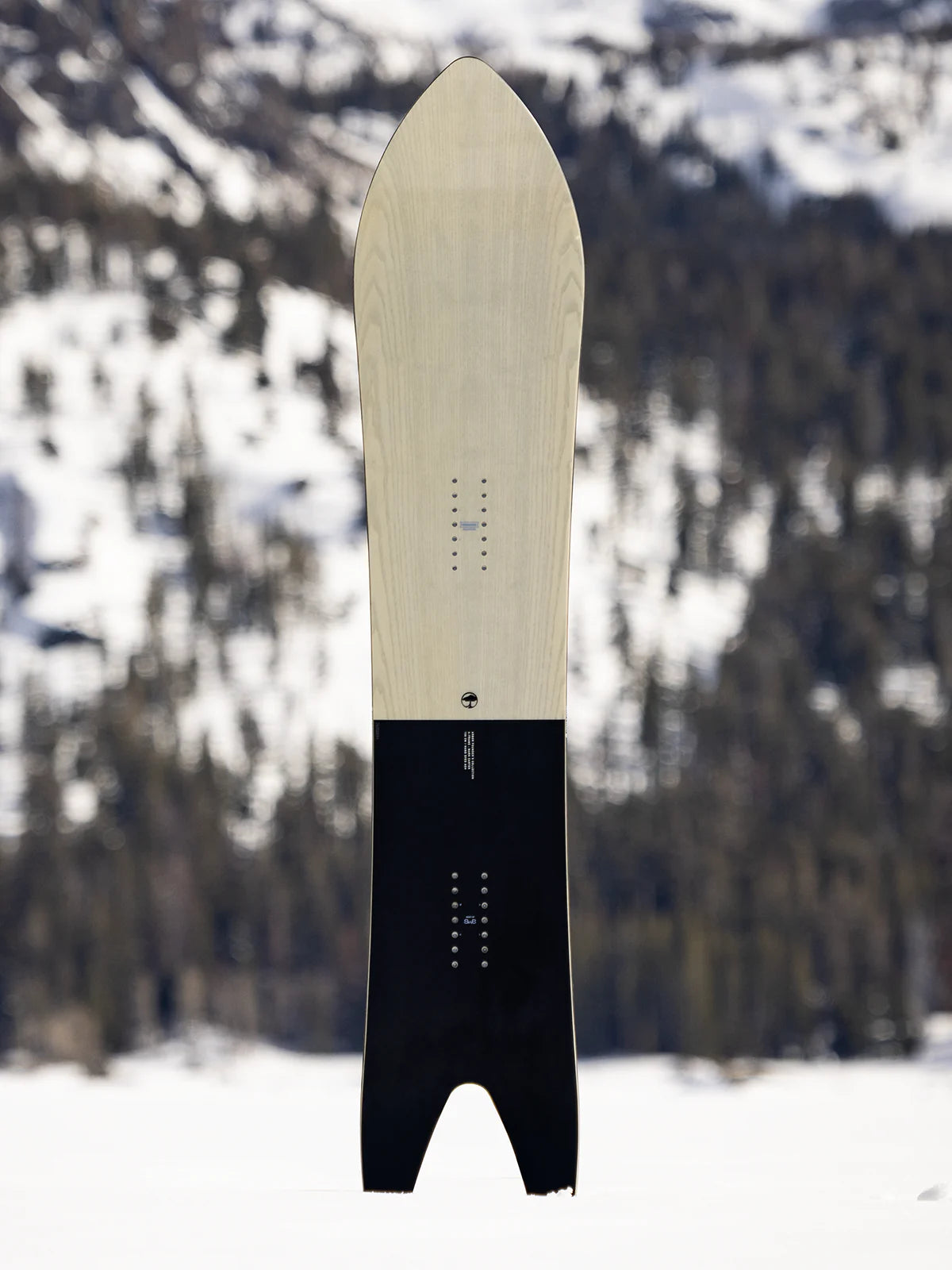ARBOR A-FRAME W26