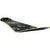 YES SHIFTER XTRM EIKI 3D W26