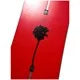 BURTON BLOSSOM CHERRY BLOSSOM W26