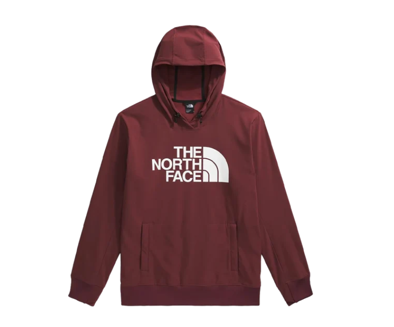 THE NORTH FACE TEKNO LOGO HOODIE Sumac